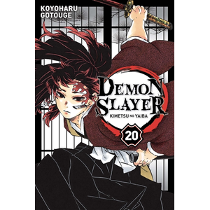 Panini Manga Demon Slayer T20