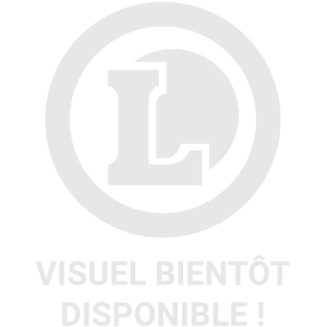 Larousse Ulysse et le cheval de Troie broché