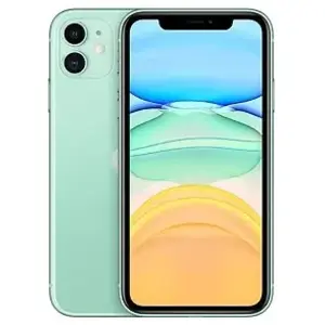 Apple iPhone 11 15,5 cm (6.1") Double SIM iOS 13 4G 256 Go Vert