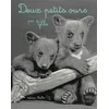 Memo Eds Deux petits ours vendu par Fnac