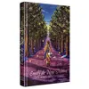 Monsieur Toussaint Louverture Emily de New Moon - Emily 1 vendu par Fnac