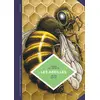 Le Lombard Eds Les abeilles : les connaître pour mieux les protéger Yves Le Conte, Jean Solé vendu par Ammareal