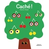 Amaterra Caché ! vendu par Livrenpoche