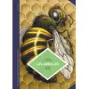 Le Lombard Eds Les abeilles : les connaître pour mieux les protéger Yves Le Conte, Jean Solé neuf vendu par Cultura Librairie